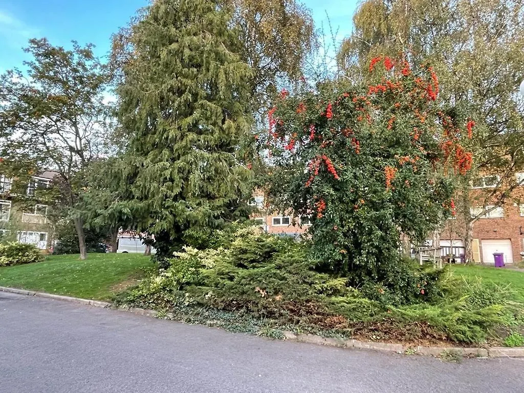 Spacious Double Bedroom With Private Bathroom Ensuite In London Canary Wharf E14, Only 1 Stop To Excel And O2 For Short Or Long Let In London Canary Wharf, Less Than An Hour From Heathrow, Stansted And Gatwick Airport